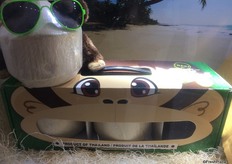 Vancouver, BC’s Fresh Direct’s Coconut Gift Box for young coconuts comes with a sturdy handle, a cheeky monkey graphic design and fits 3x3 into a 9 pcs carton box.