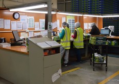 A final extra check is done on the quality, size etc of the fruit.