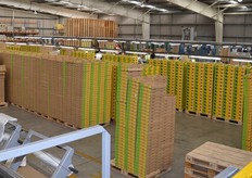 There are also plenty of Zespri boxes around.