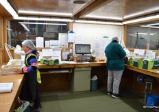 Next was KKP packing shed, it is one of the older ones but still very good. This is where they do the last extra quality control check.