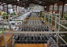 This were the kiwis are weighed and stickered.