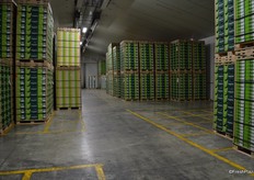This is a normal static store with no racks, pallets are lined up here to ensure good airflow.