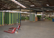 This is the Huka Pak Packhouse where the organic kiwis are packed.