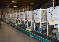 This dynamic drop machine sorts the fruit into the different sizes and then boxes it.