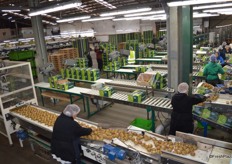 These lines can pack 12 trays a minute at top speed but are usually run at 6 per minute.