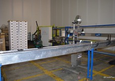 This packing machine is used later in the season to pack punnets which are very popular on the Australian market. There won't be many this year due the large fruit size.