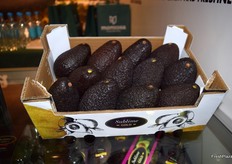 Avocado hass of Montosa.