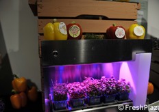 Microgreens: house system.