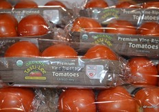 New environmental friendly packaging from Bejo Seeds. Solid cardboard made of fibers from the company's own Tasti-Lee tomato plants.