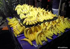 Supplies of fresh bananas provided by Costa