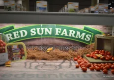 Organic grape tomatoes from RedSun Farms that are available year-round.