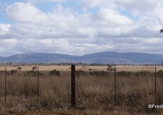 Bufland Boerdery lies in a fertile valley next to the Waterberg Mountains, part of the mineral-rich Bushveld Complex.