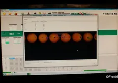 A snapshot of the screen of Reemoon's proprietary optic sizing software, identifying blemishes and marks on fruit. It counts the number of blemishes and calculates the area of the fruit affected by blemishes.