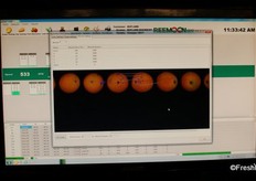 A snapshot of the screen of Reemoon's proprietary optic sizing software, identifying blemishes and marks on fruit. It counts the number of blemishes and calculates the area of the fruit affected by blemishes.