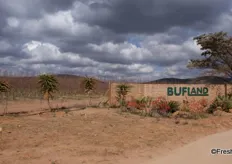 The entrance to Bufland Boerdery in the Waterberg Mountains, with peach and nectarine orchards in the background.