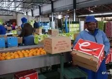 Bufland packs class 1 fruit for UniChoice, with class 2 under its brand Ecochoice.