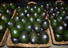 Organic avocados of Mission Produce
