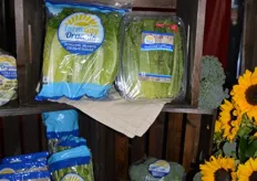 A selection of Farm Day Organic's line of organic veggies.