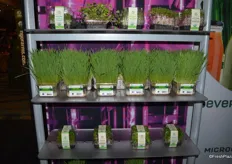 Organic microgreens and organic wheatgrass from Urban Produce on display. The company grows its products organically only.