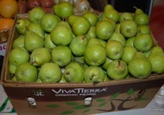 California-grown organic pears from Viva Tierra Organic.