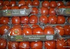 Tasti-Lee tomatoes in new environmental friendly packaging. Solid cardboard made of fibers from the company's own Tasti-Lee tomato plants.