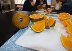 The doki navel a new dark coloured, very sweet orange variety from Pacific Fresh, marketed by Mildura Fruit Company. 2000 9kg boxes went to China this year. 1800 trees have been planted and production will increase quickly in the coming years.