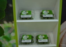 The Nergi kiwiberry from Primland. This year, Nergi plans to double its volume of kiwi berries compared to last year to 5 million.