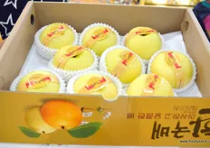 Pears of Yantai Shengfeng Food Stuffs.