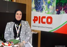 Supply Chain and Logistics Manager Amira Hosny of PICO (Egypt)