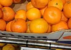 Due to the somewhat brownish coloring these Argentinian mandarins doesn't look appealing.