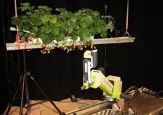 The strawberry picking robot.