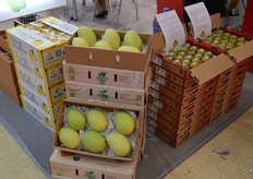 Various products displayed at Expo Trade.