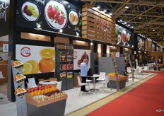 The Egyptan delegation.