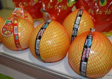 Closeup op the grapefruit from Zhangpu Yical.
