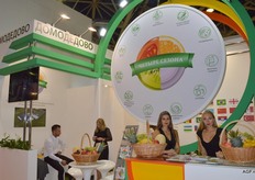 Neat Russian stands. Wholesale Distribution Centre 'Four Seasons' is a wholesale centre in Moscow, near the Domodedovo airport.