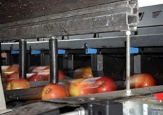 Apples speeding through the laser sorter.