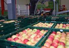 Apples in crates ready to be sent to the customer.