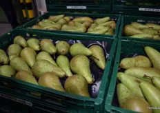 Pears ready to be sent out.