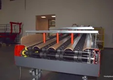 Rollers for larger round fruits such as apples as part of a sorting line.