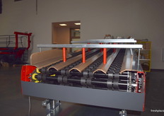 Rollers for larger round fruits such as apples as part of a sorting line.