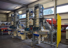 Special 'soft touch' machine to gently put the apples into crates after sorting.