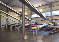 Chutes bringing boxes down to the workers packing apples.