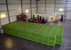 A view of the crates used for harvest.