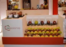 A nice display at the Appolonia stand in the Polish Pavilion.
