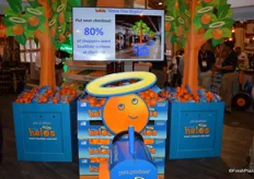 New in-store promotion from Wonderful Citrus, featuring a grove-to-store tractor and mandarin grove trees.