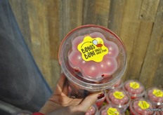 Sunset Produce has got a new packaging for snacking tomatoes. At the top there is a snack pack, so you can easily bring tomatoes to school and work