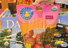 New packaging from CMI Orchards with organic apples from the brand Daisy Girl Organics in combination with a club variety brand like Kanzi or Kiku