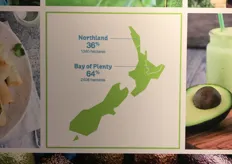 The Bay of Plenty in New Zealand is where almost 65% of the country's avocado crop is grown.