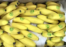 Banana branded and marketed by Beijing importer Tai He Guo Ye. Tai He Guo Ye imports fruits from Chile, Thailand, Vietnam, the US and a number of other countries into Northern China's Xinfadi Wholesale market in Beijing.