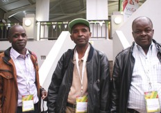 Stephen Mwangi, Gerald Mwangi and Daniel Kamithi Karimi of the Kenya Nut Company.